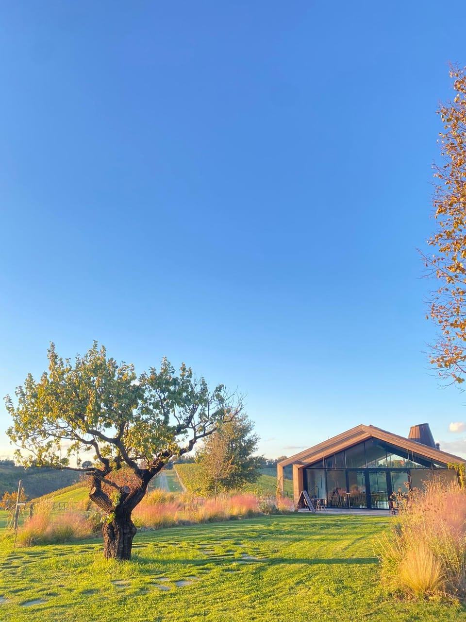 Corte D'Aibo Farm Stay in Emilia-Romagna