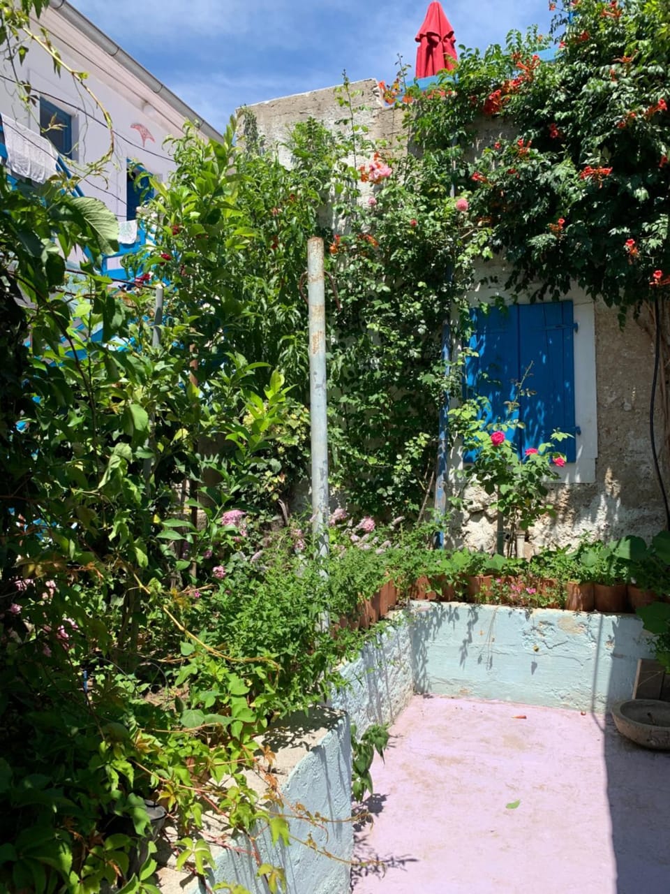 Dalmatian rustic house House in Zadar County