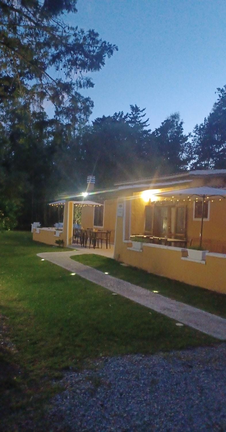 Property building, Garden view