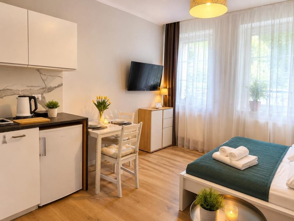 Apartamenty z klimatem Apartment in Poznan