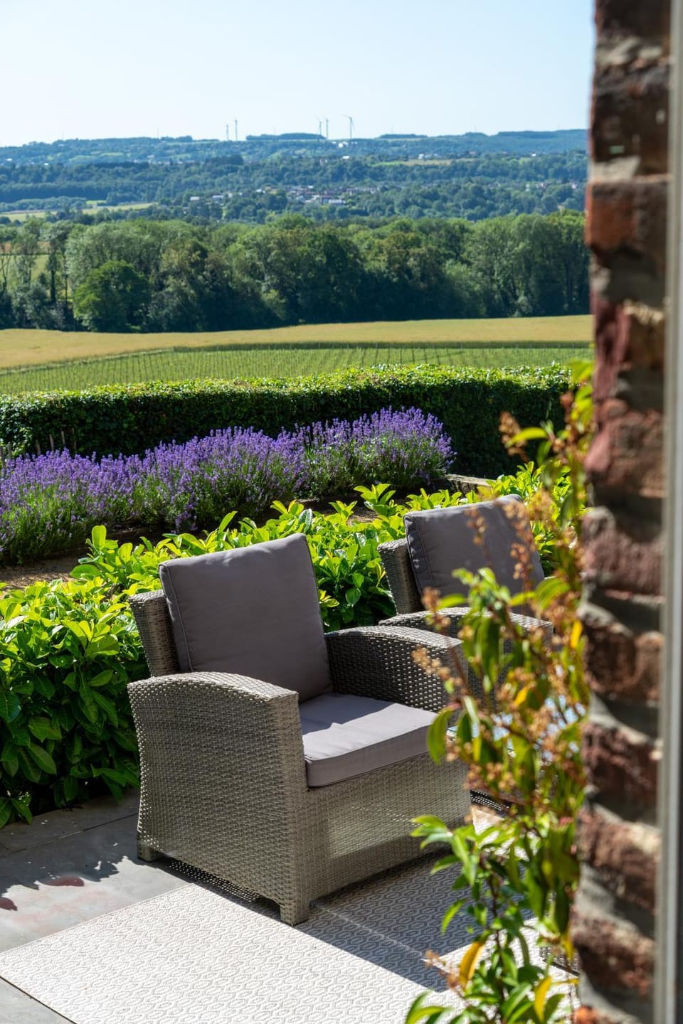 Patio, Garden view