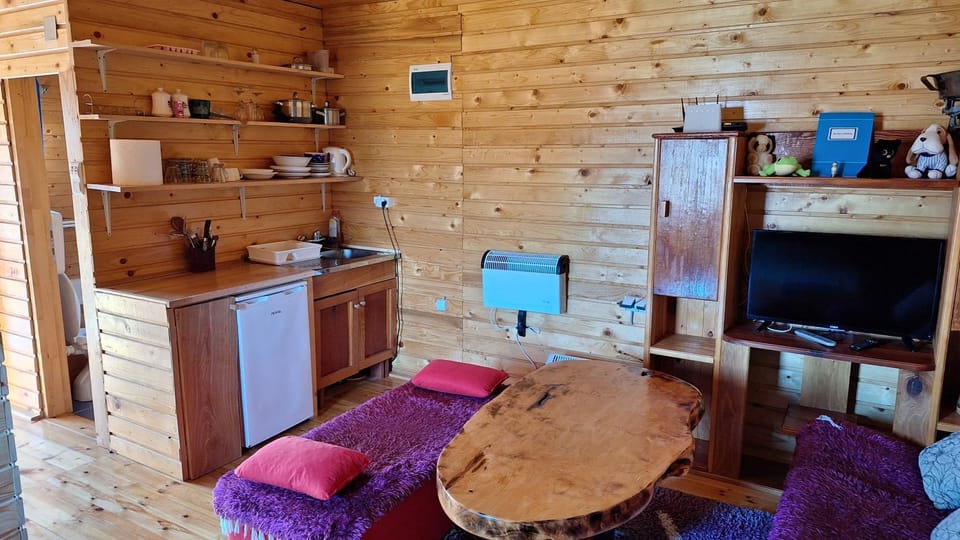 Kitchen or kitchenette, Dining area, stove