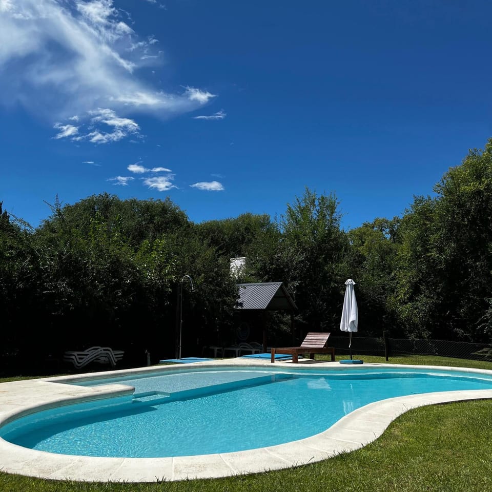 Day, Pool view, Swimming pool, sunbed