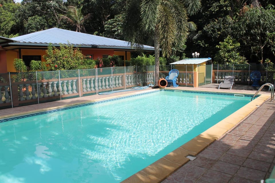 Garden, Garden view, Swimming pool