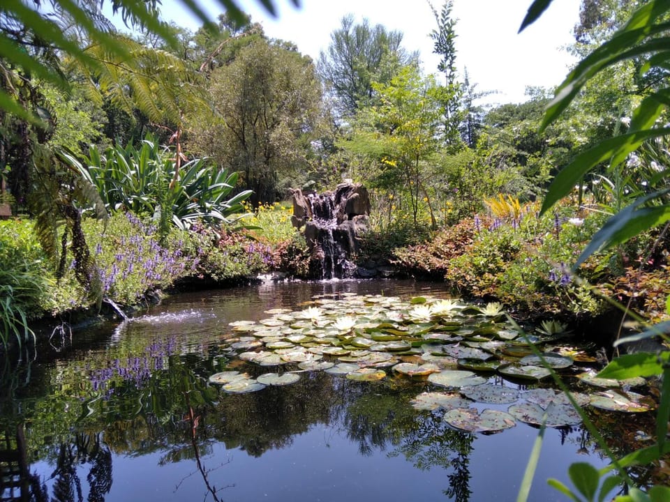 Natural landscape, Garden, Garden view