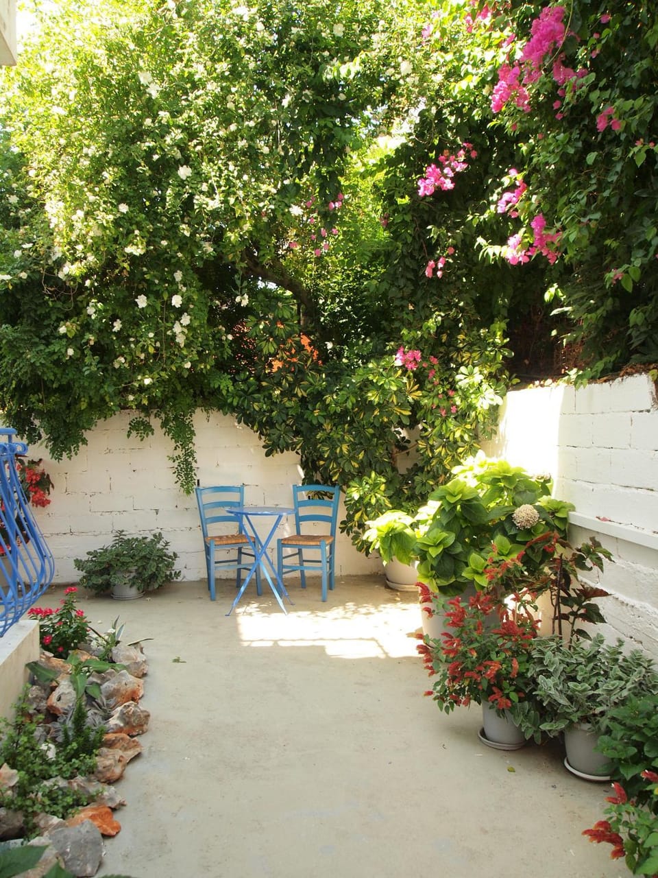 Facade/entrance, Garden