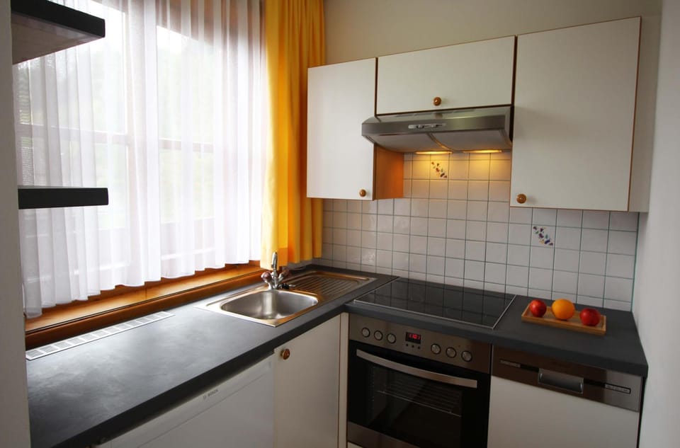 Kitchen or kitchenette, dishwasher, pet friendly, stove