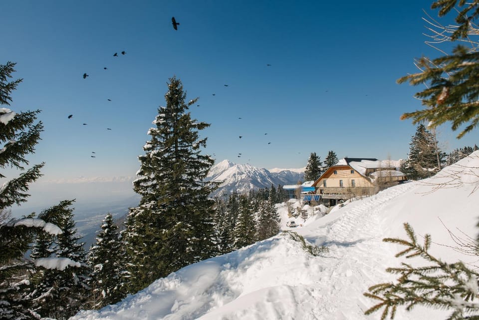 Natural landscape, Winter