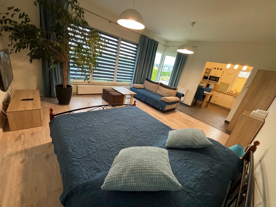Bed, Living room, Photo of the whole room, Seating area, Bedroom