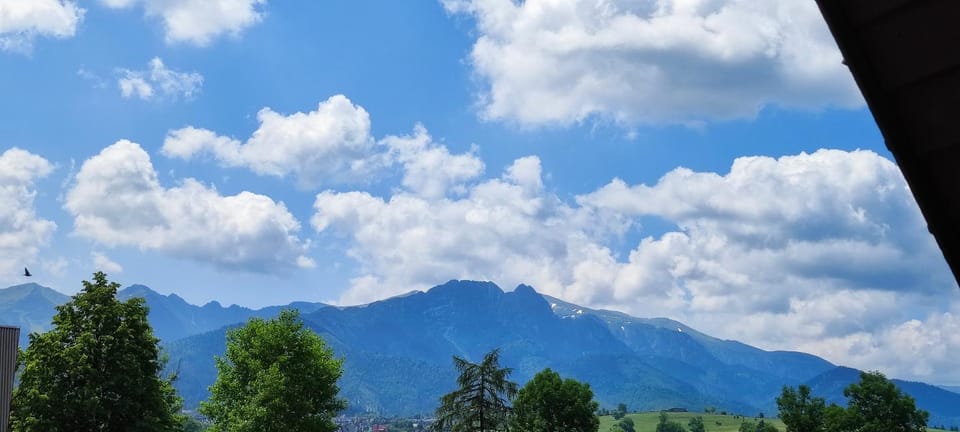 Mountain view