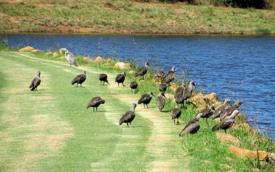 Bird's eye view, On site, Lake view