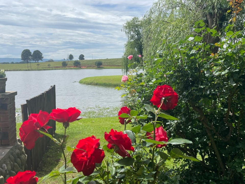 Garden, On site, Lake view