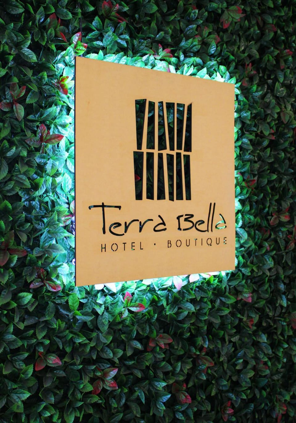 Terra Bella Hotel Boutique Bed and Breakfast in San Salvador