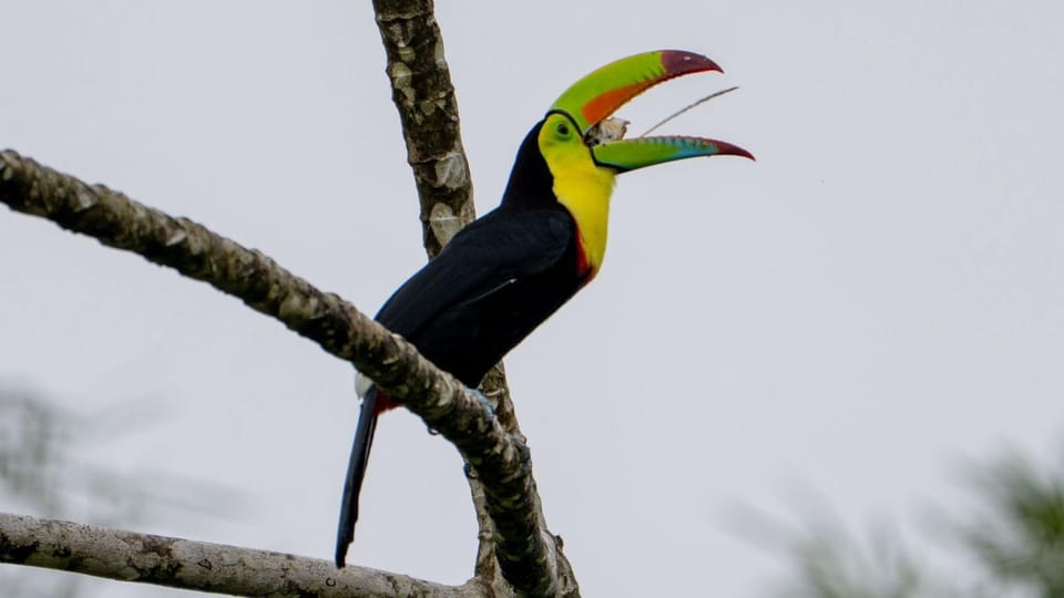Hotel Pedacito de Cielo Nature lodge in Alajuela Province
