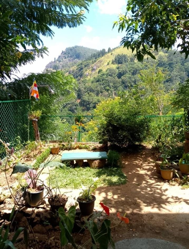 Natural landscape, Garden, Mountain view