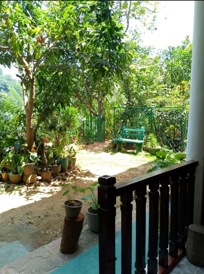 Natural landscape, Garden, Garden view