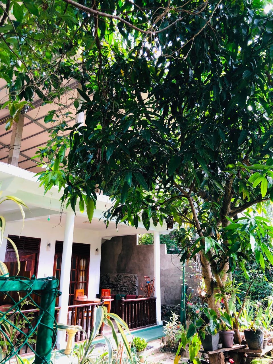 Pasan Guest Bed and Breakfast in Ella