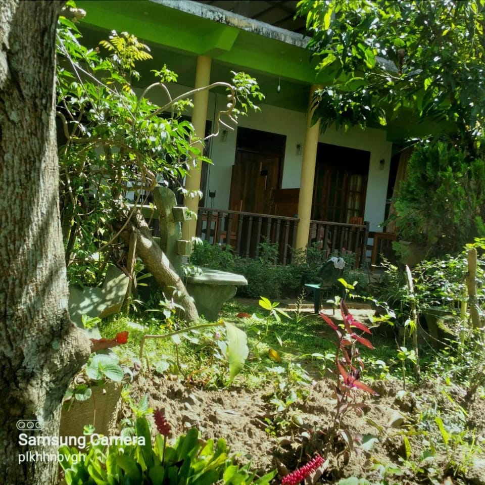 Property building, Garden