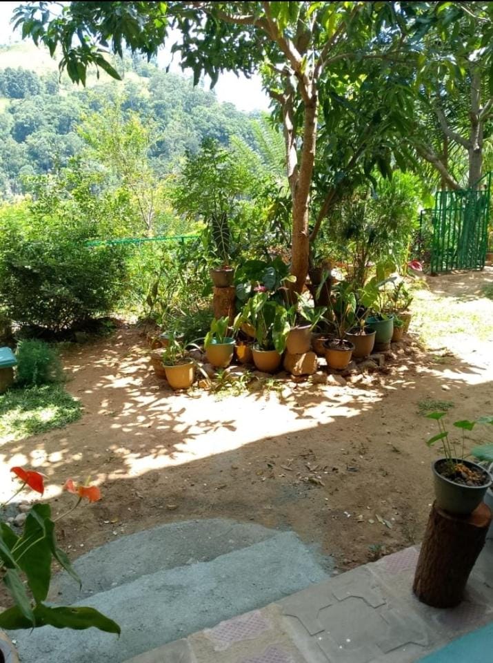 Garden, Garden view