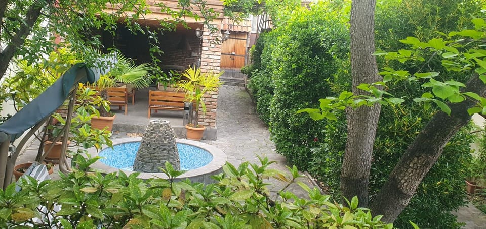 View (from property/room), Garden view