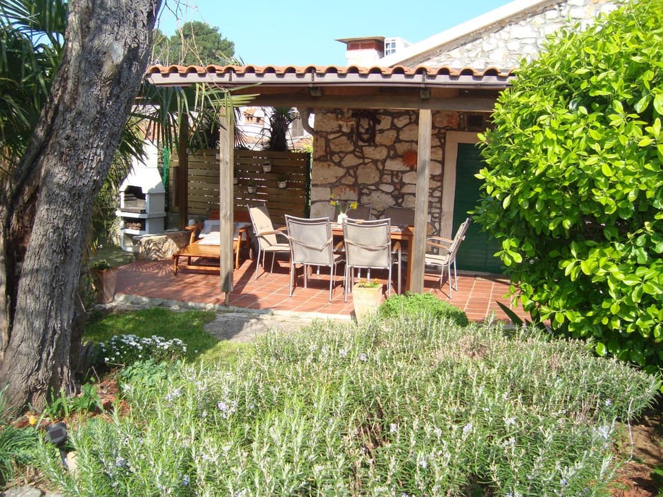Patio, Day, Garden