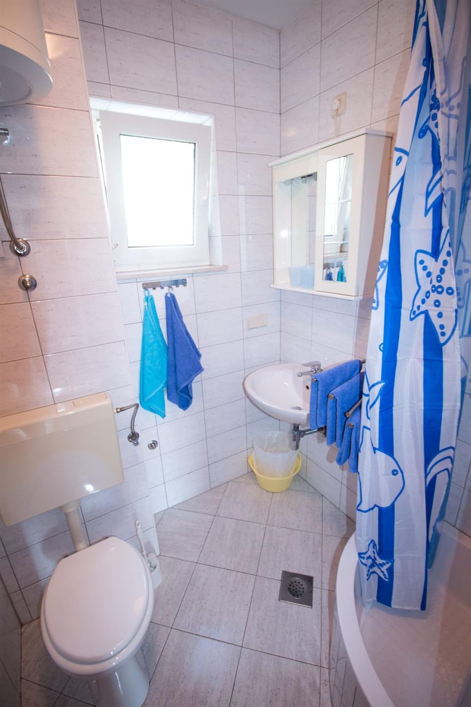 Toilet, Other
