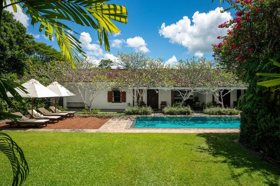 Garden, Pool view, Swimming pool, sunbed
