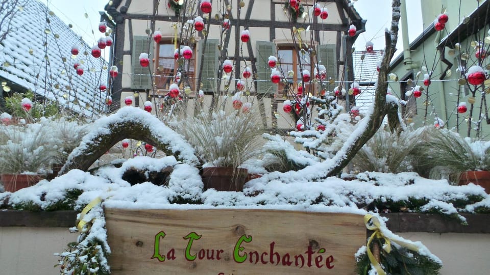 Winter, Garden, Decorative detail, Garden view, Street view