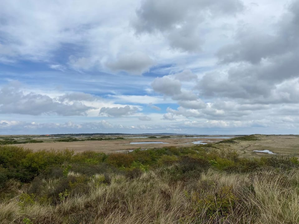 Natural landscape