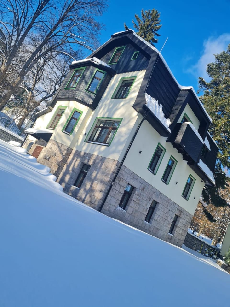 Property building, Day, Neighbourhood, Winter, Street view