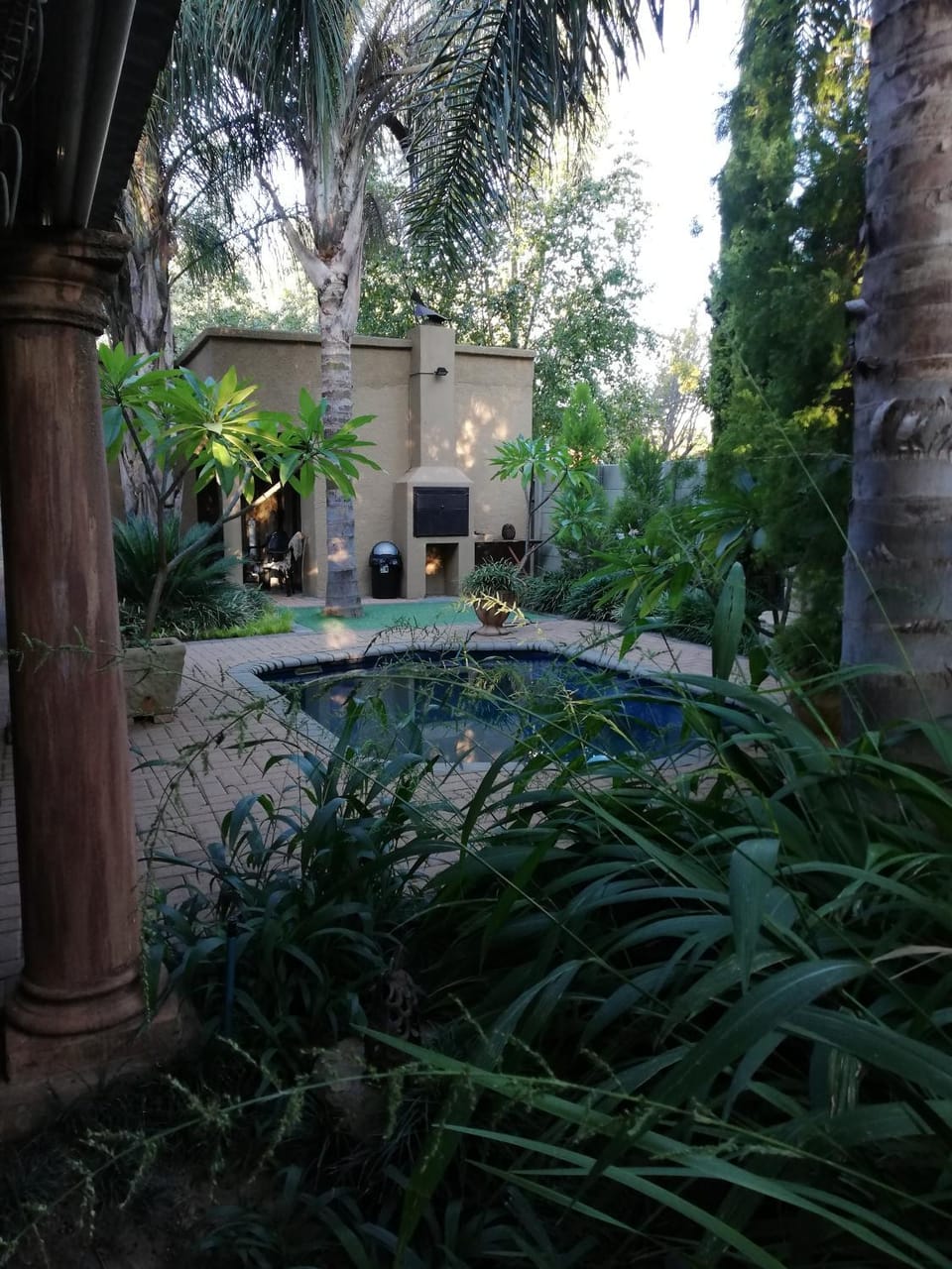 Garden, Swimming pool