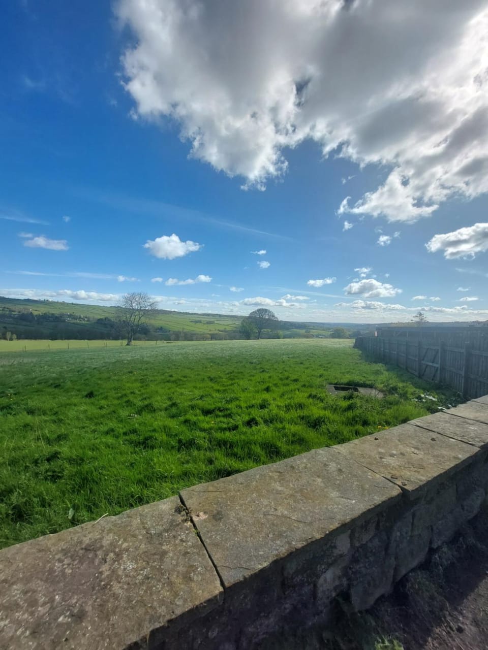 Day, Natural landscape, View (from property/room), Garden view