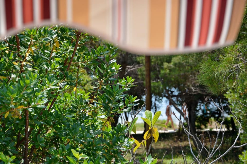 Day, Summer, View (from property/room), On site