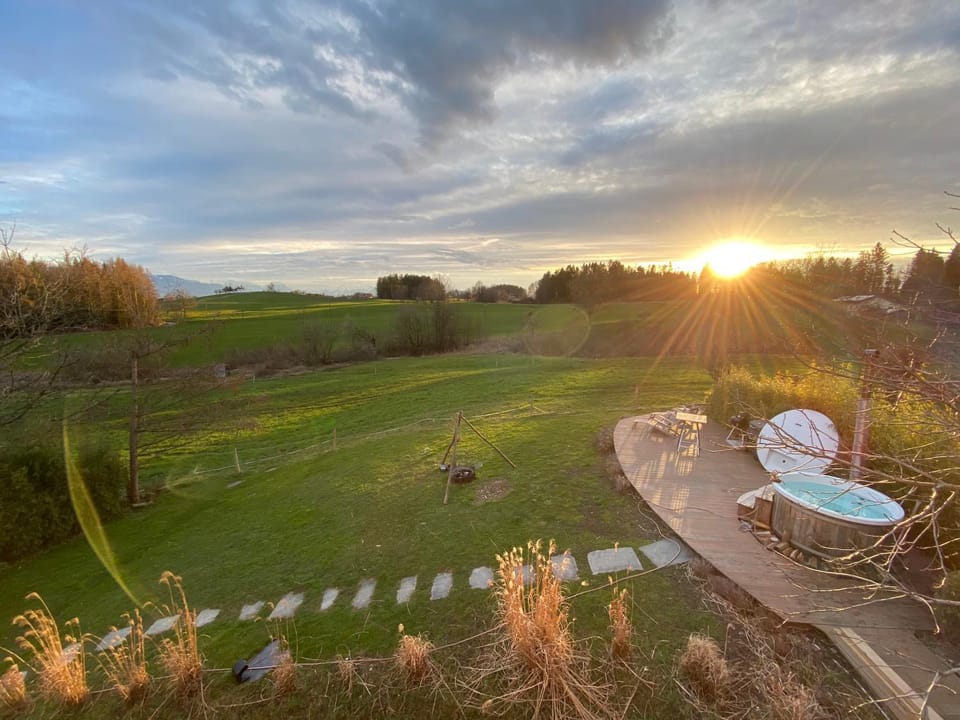 Garden, Garden view, Sunset