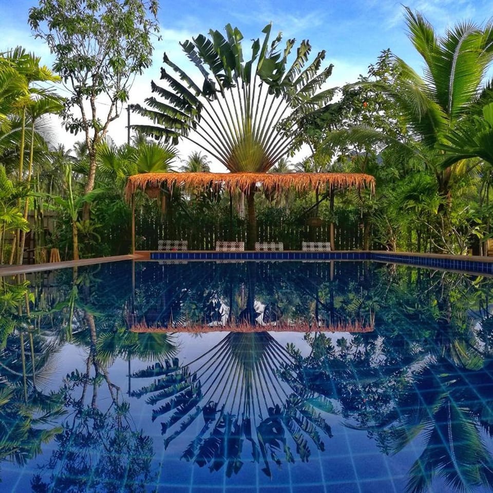 Swimming pool, Swimming pool