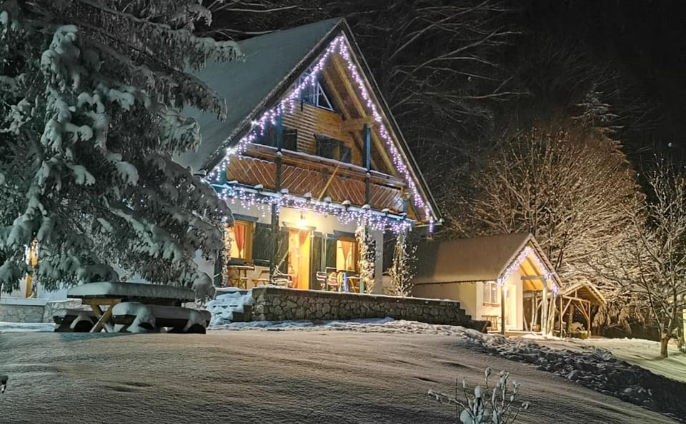 Pensiunea Ioana Bed and Breakfast in Timiș County