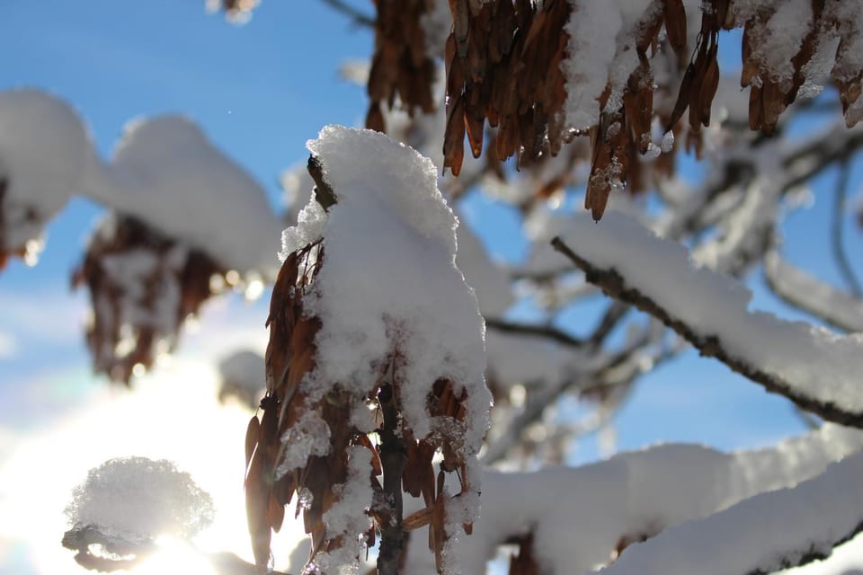 Winter
