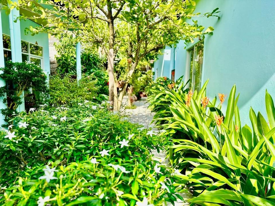 Garden view
