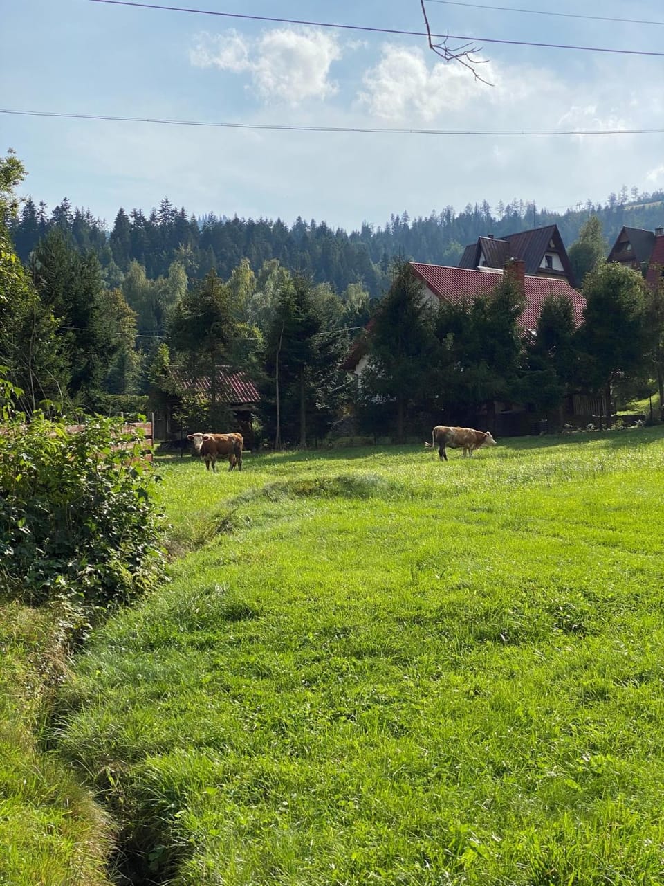 Garden view, Mountain view