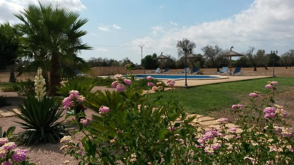 Pool view