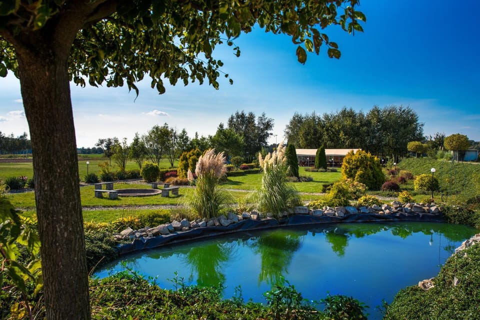 Neighbourhood, Natural landscape, Garden, Family