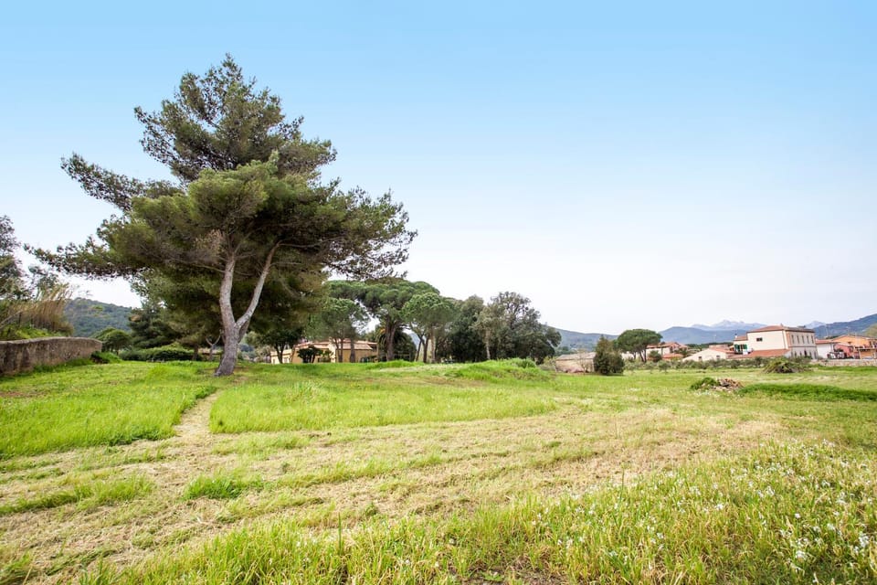Natural landscape, Garden, On site