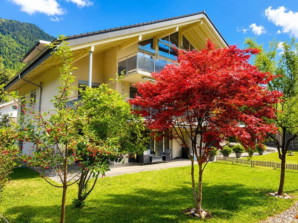 Property building, Garden view