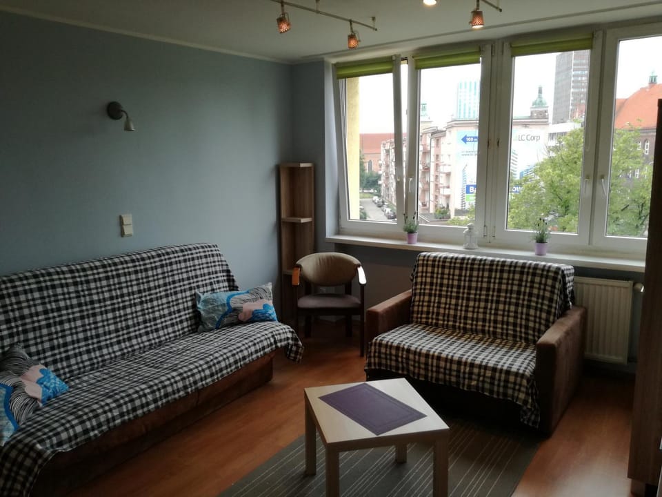 Living room, Photo of the whole room, Decorative detail, City view