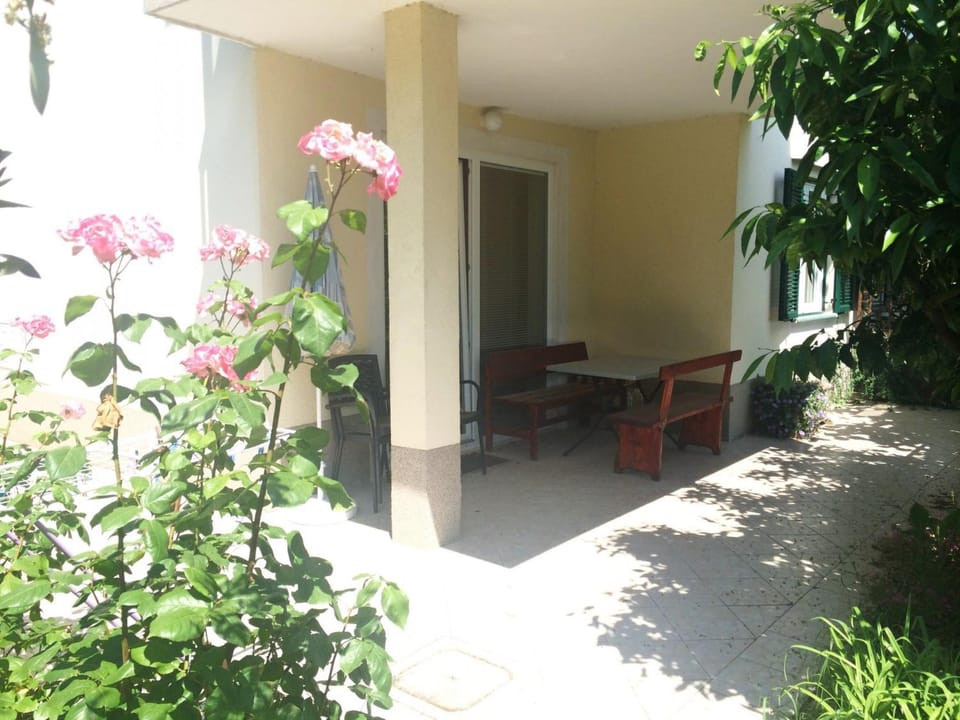 Patio, Garden