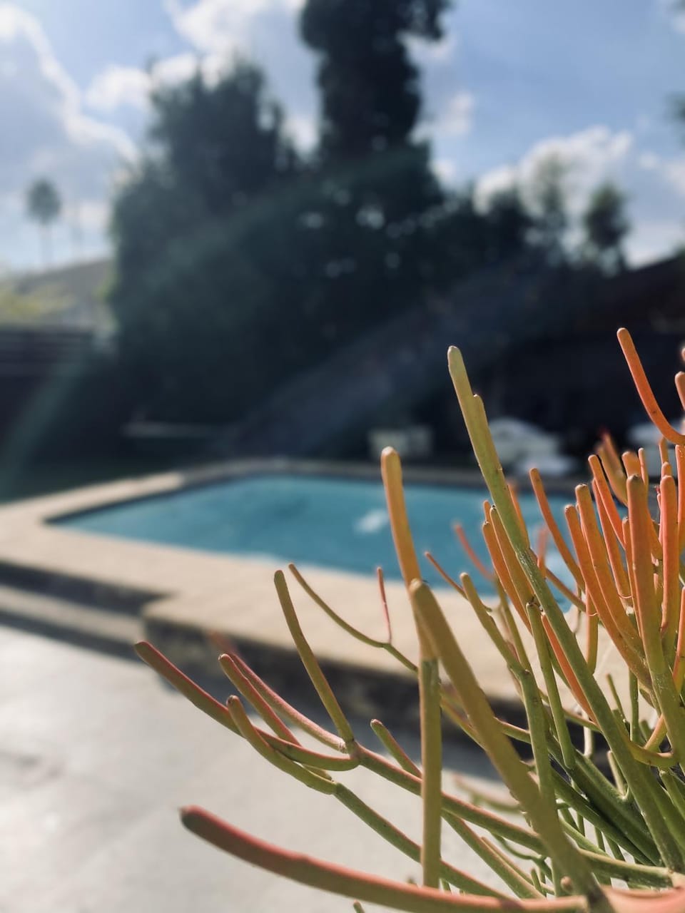 Pool view
