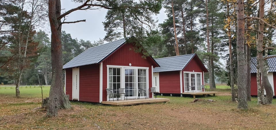 Property building, Day