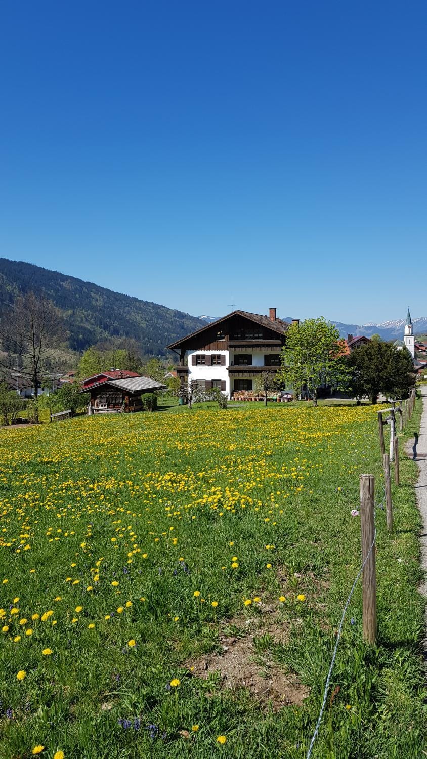 Property building, Neighbourhood