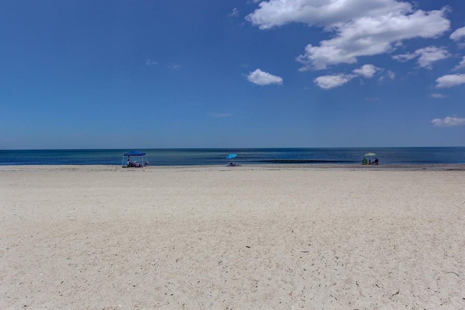 DogFriendly Oceanfront Condo Apartment in Fernandina Beach