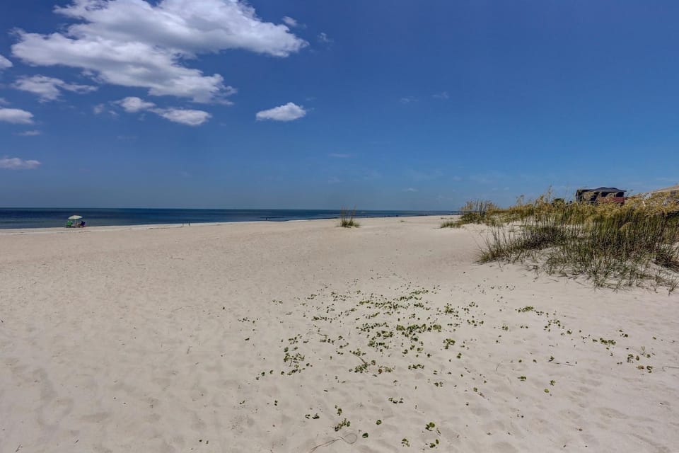 DogFriendly Oceanfront Condo Apartment in Fernandina Beach